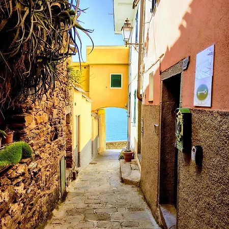 Apartment Belvedere *