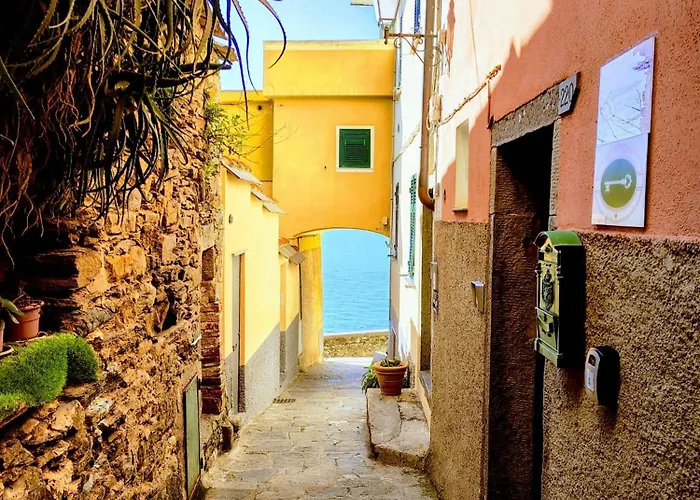 Lejlighed Belvedere *